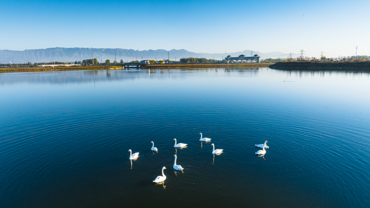 小浪底北岸灌區工程